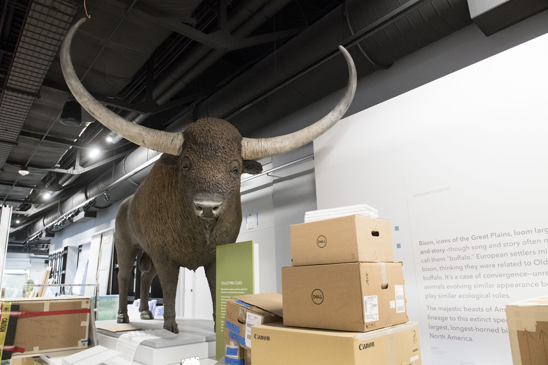 New exhibit floor 'Cherish Nebraska'